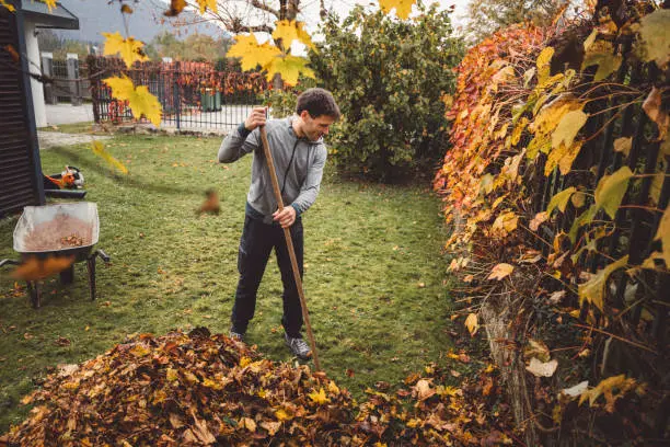 How To Clean A Backyard Pueblo, CO