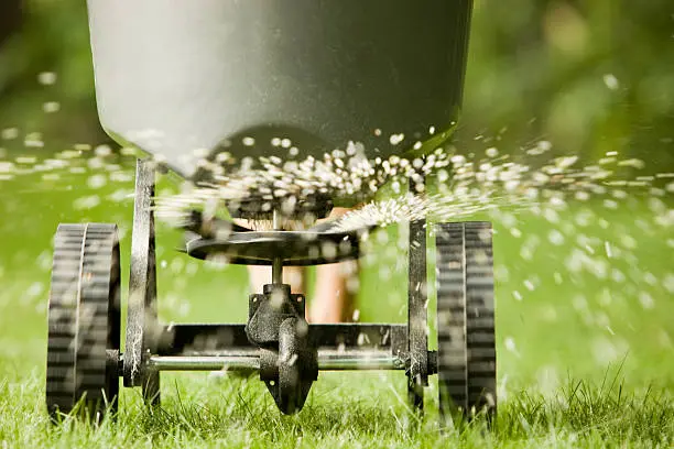 How often should you fertilize your lawn Pueblo, CO