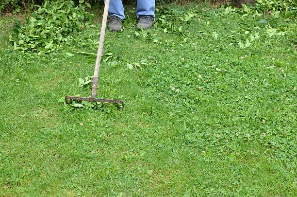 How to clear a yard full of weeds Pueblo, CO