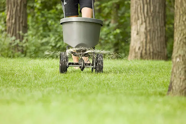 Lawn Fertilization in Pueblo, CO