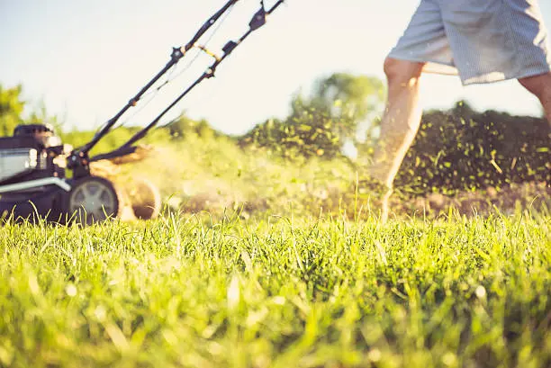 Lawn Mowing in Pueblo, CO