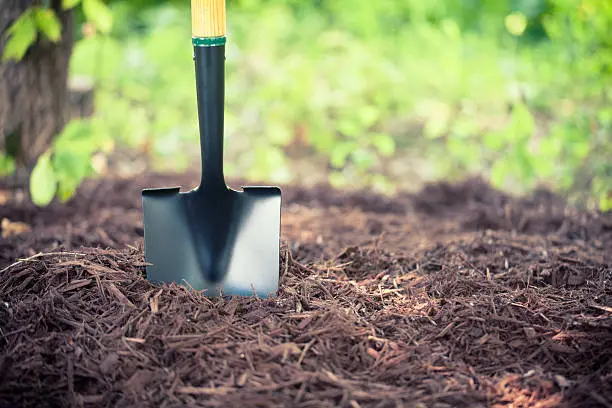 Mulching in Pueblo, CO