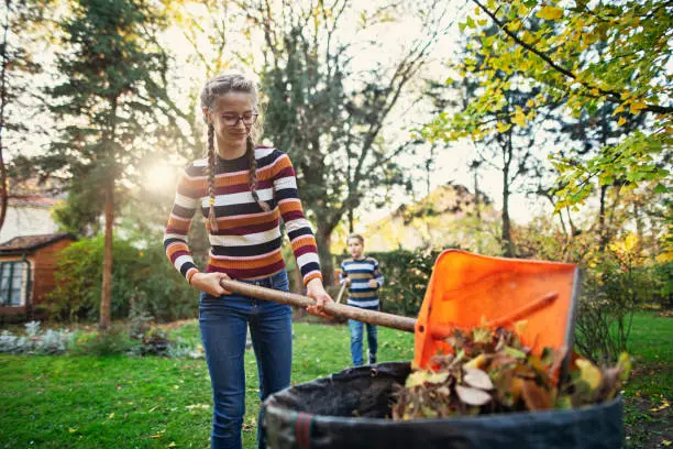 Reliable Yard Cleanup in Pueblo, CO