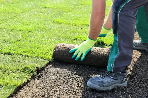 Sod Installation Pueblo, CO