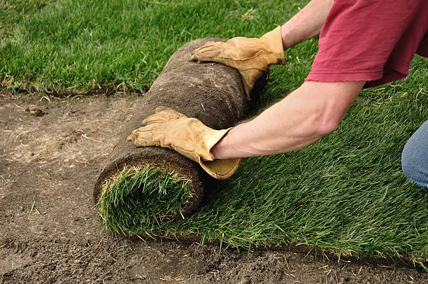 Sod Installation in Pueblo, CO