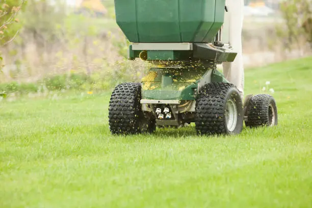 When is the best time to fertilize your lawn Pueblo, CO