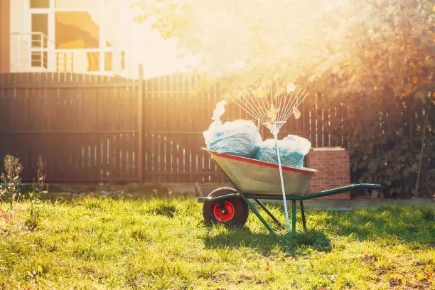 Yard Cleanup in Pueblo, CO